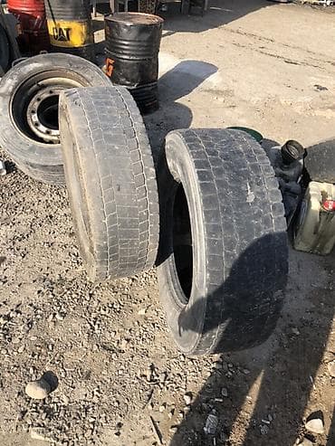Шины R 22,5, Грузовики/Автобусы, Dunlop