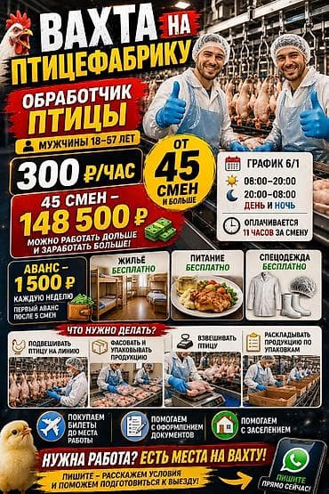 high experience: Требуется Разнорабочий на производство, Оплата: Дважды в месяц, Без опыта — 1