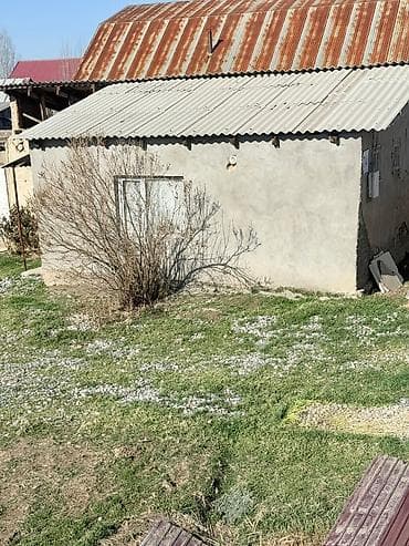 продаю дом г кайынды: Продаётся дом с участком. - Жилое помещение с двумя комнатами — 5