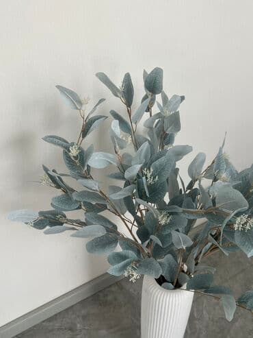 голубые ели бишкек цена: Искусственные ветки эвкалипта - 850 (только ветки)
Ветки + ваза - 2900 — 2