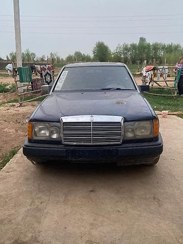 Mercedes-Benz E-Class: 1991 г.