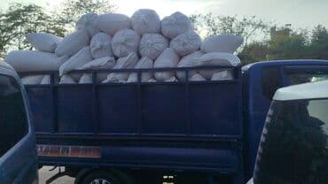 трава для животных: Отруби Улпак кебек келишим баада мишок — 3