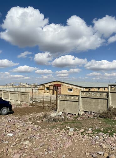 куплю дом в новопакровке: Продаю Ферма КРС, 40 соток, Действующий — 1