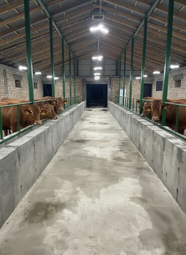 продаю дом этажка: Дом, 100 м², 3 комнаты, Собственник, Евроремонт — 1