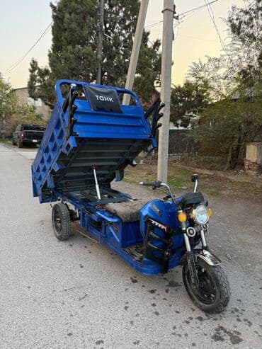 мото квадрацикл: Мотороллер муравей Электро, 60 км, 1000 - 1499 кг, Б/у — 11