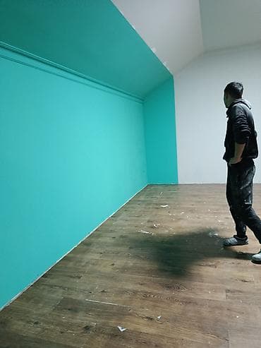 Услуги по строительству и ремонту: Покраска наружных стен, На водной основе, Больше 6 лет опыта — 9