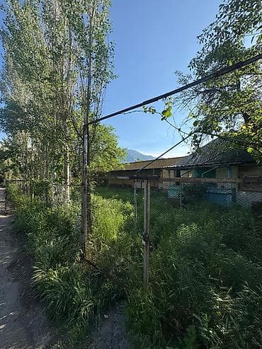 село раздольное: 4 соток, Красная книга — 2