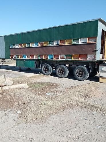 платформа пчеловодная: Передвижной пчелопавильон на базе трехосного полуприцепа Special — 3