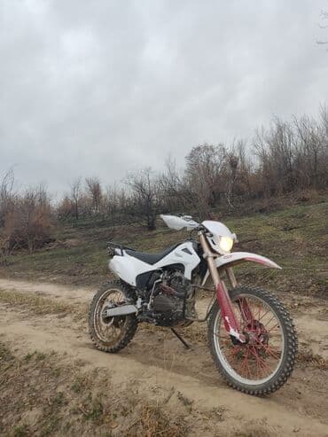 купить питбайк недорого: Эндуро Zongshen, 250 куб. см, Бензин, Взрослый, Б/у — 1