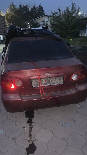 все для салонов красоты дордой: На разбор — 1