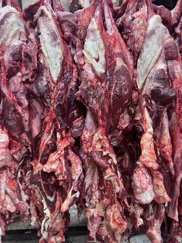 цены на мясо в бишкеке 2022: Мясо мясо мясоо. Продаются головное мясо Халал 💯 круговой целиком — 6