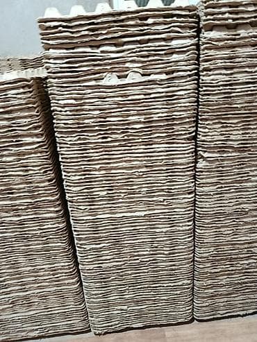 Продаю яичные лотки.Состояние как новые, количество 2500 штук одна