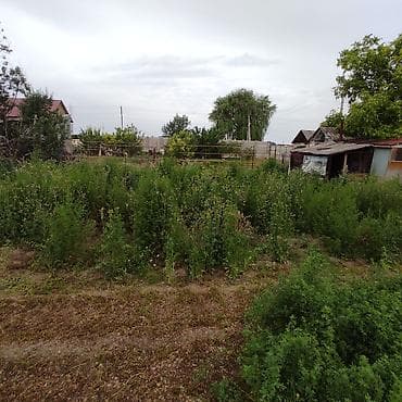 робочый городок: 5 соток — 3
