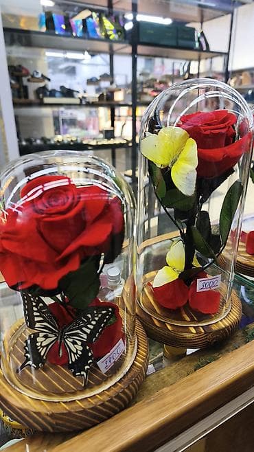 колбы: Подарок - живые розы которые не завянут даже через год!!! Роза в — 3