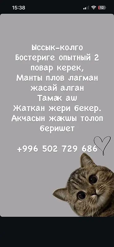 Талап кылынат Ашпозчу : Универсал, Улуттук ашкана, Тажрыйбасыз