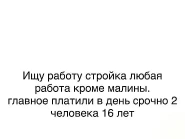 Услуга: разнорабочие на стройке (2 человека) Описание: - Два