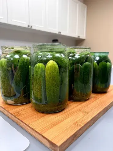 Үй кызматкери