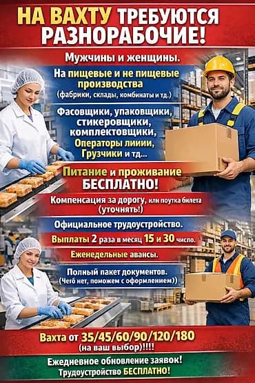 Талап кылынат Ар түрдүү жумуштарды жасаган жумушчу, Төлөм: Бир айда эки жолу, Тажрыйбасыз