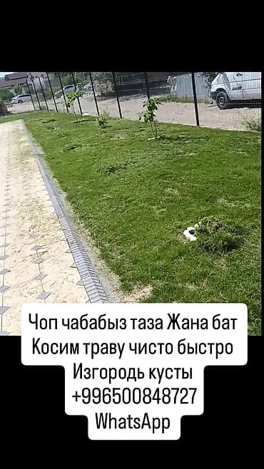 Уборка территории, Стрижка газона
