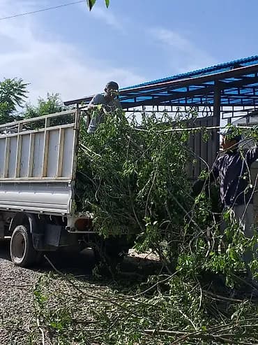 Аймактарды жыйнап тазалоо, Бак-дарактарга кам көрүү