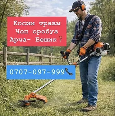 Уборка территории, Стрижка газона