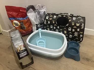Набор для кошки/котёнка — всё необходимое сразу. Всего за 3000 сомов!