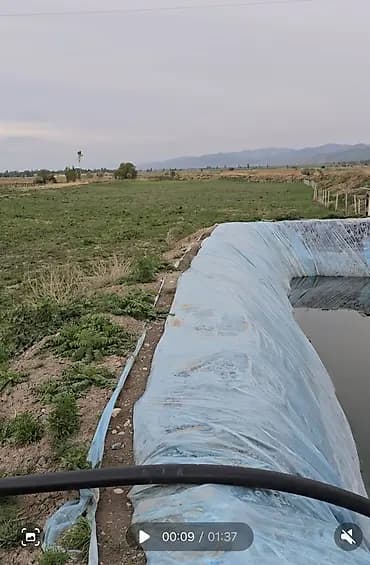 Бишкектин четинен эжевика айдалган 2 га поля сатылат.(сорт