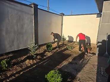 Ландшафтные работы и озеленение участка - Профессиональная посадка