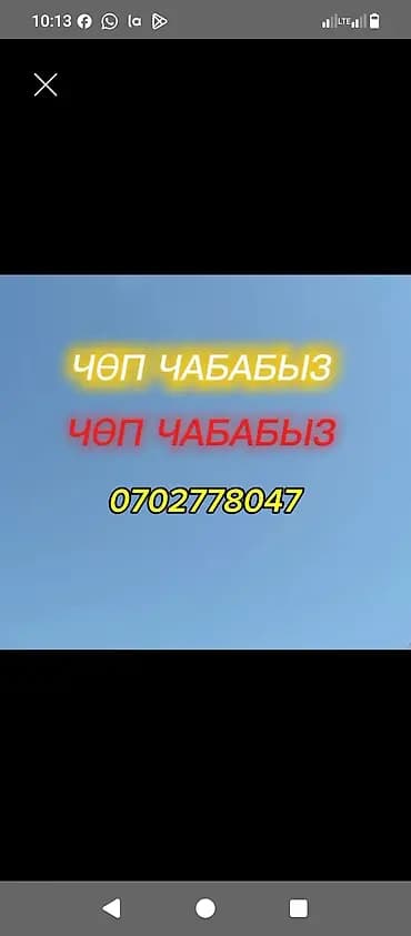 Уборка территории, Стрижка газона