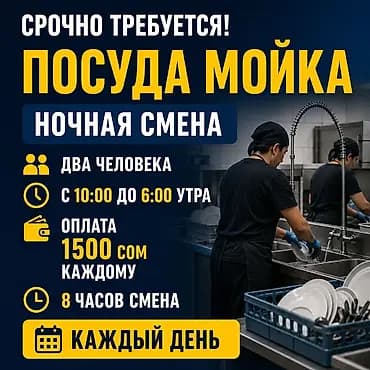 Требуется Посудомойщик, Оплата: Ежедневно