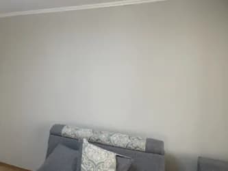 Сделаем все виды отделочных работ Покраска стена потолков Окно Двери