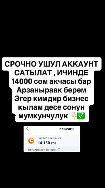 Продаётся аккаунт с электронным кошельком. На балансе: 14 150 KGS
