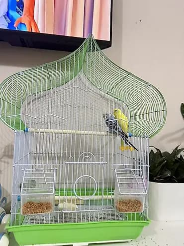 Клетка для волнистых попугаев мести попугай - Просторная