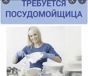Талап кылынат Идиш жуучу, Төлөм: Күнүмдүк