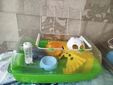 Клетка . террариум . в отличном состоянии размеры : длина 53 ширина