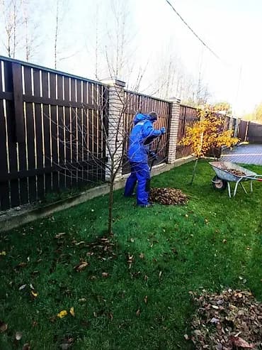 Аймактарды жыйнап тазалоо, Бак-дарактарга кам көрүү