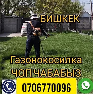 Уборка территории, Уборка двора и сада, Стрижка газона, Другое