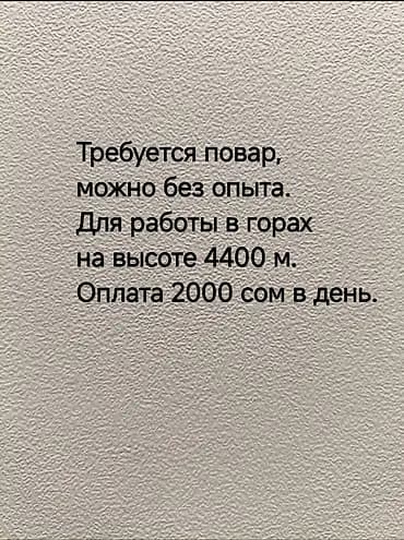 Вакансия: повар (можно без опыта). Работы не много, главное нужен