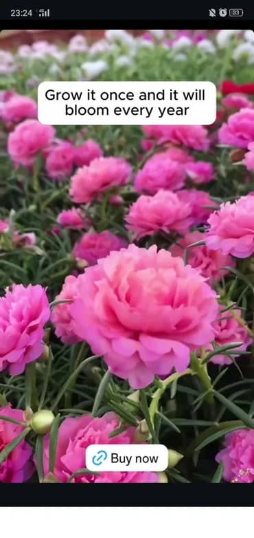 Уборщица 3-5 лет опыта