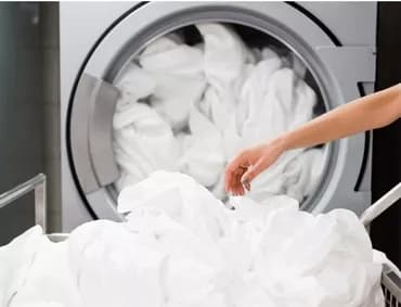 Кир жуу, кир жуулуучу жай, | Терезе пардалар, Акысыз жеткирүү, Акылуу жеткирүү