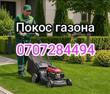 Уборка территории, Стрижка газона