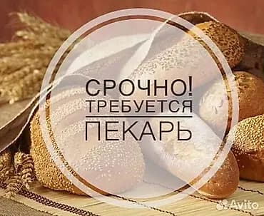 Талап кылынат Нан бышыруучу, Төлөм: Күнүмдүк, Тажрыйбасы бир жылдан аз