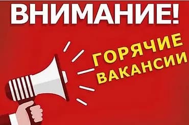 Талап кылынат Идиш жуучу, Төлөм: Жума сайын