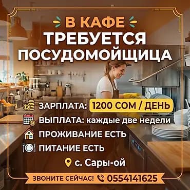 Талап кылынат Идиш жуучу, Төлөм: Күнүмдүк