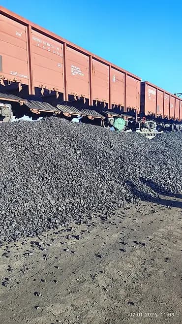 Өзү алып кетүү, Дүңүнөн, Фракциясы: Жангак (Ж), Тонна менен