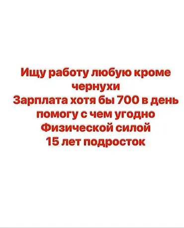 Ищу подработку. Готов выполнять любые задачи, кроме «чернухи». Помогу