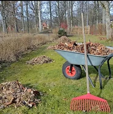 Уборка территории, Уборка двора и сада, Уход за деревьями