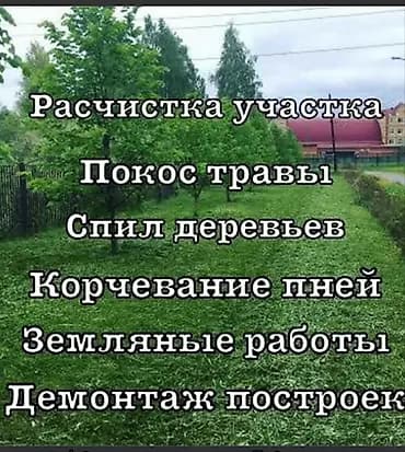 Аймактарды жыйнап тазалоо, Бак-дарактарга кам көрүү