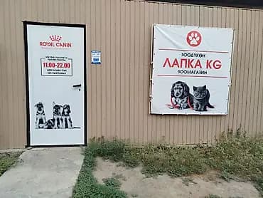 ?агазин «Лапка KG» Что у нас есть: - Корма для кошек и собак: сухие и