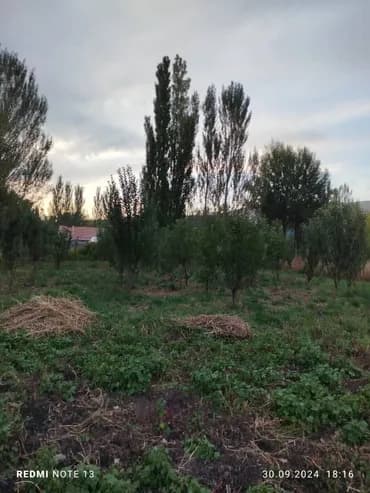 Үй, 68 кв. м, 4 бөлмө, Менчик ээси, Эски ремонт